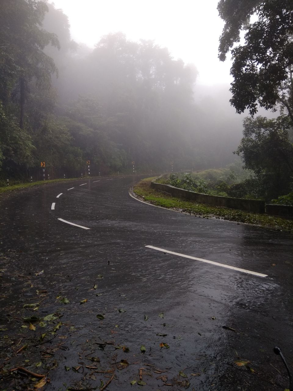 Photo of Dam those torpidos,full green ahead by Naveen Kumar