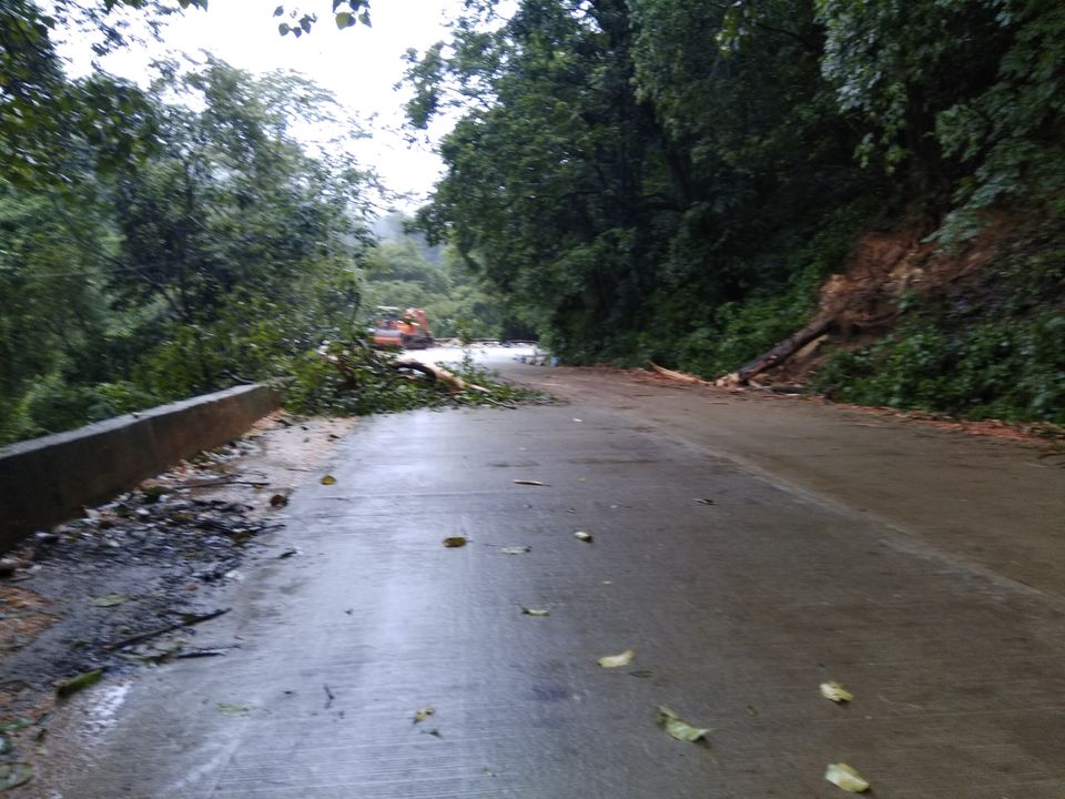 Photo of Dam those torpidos,full green ahead by Naveen Kumar