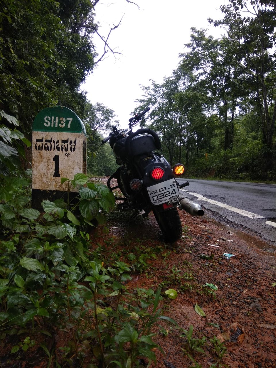 Photo of Dam those torpidos,full green ahead by Naveen Kumar
