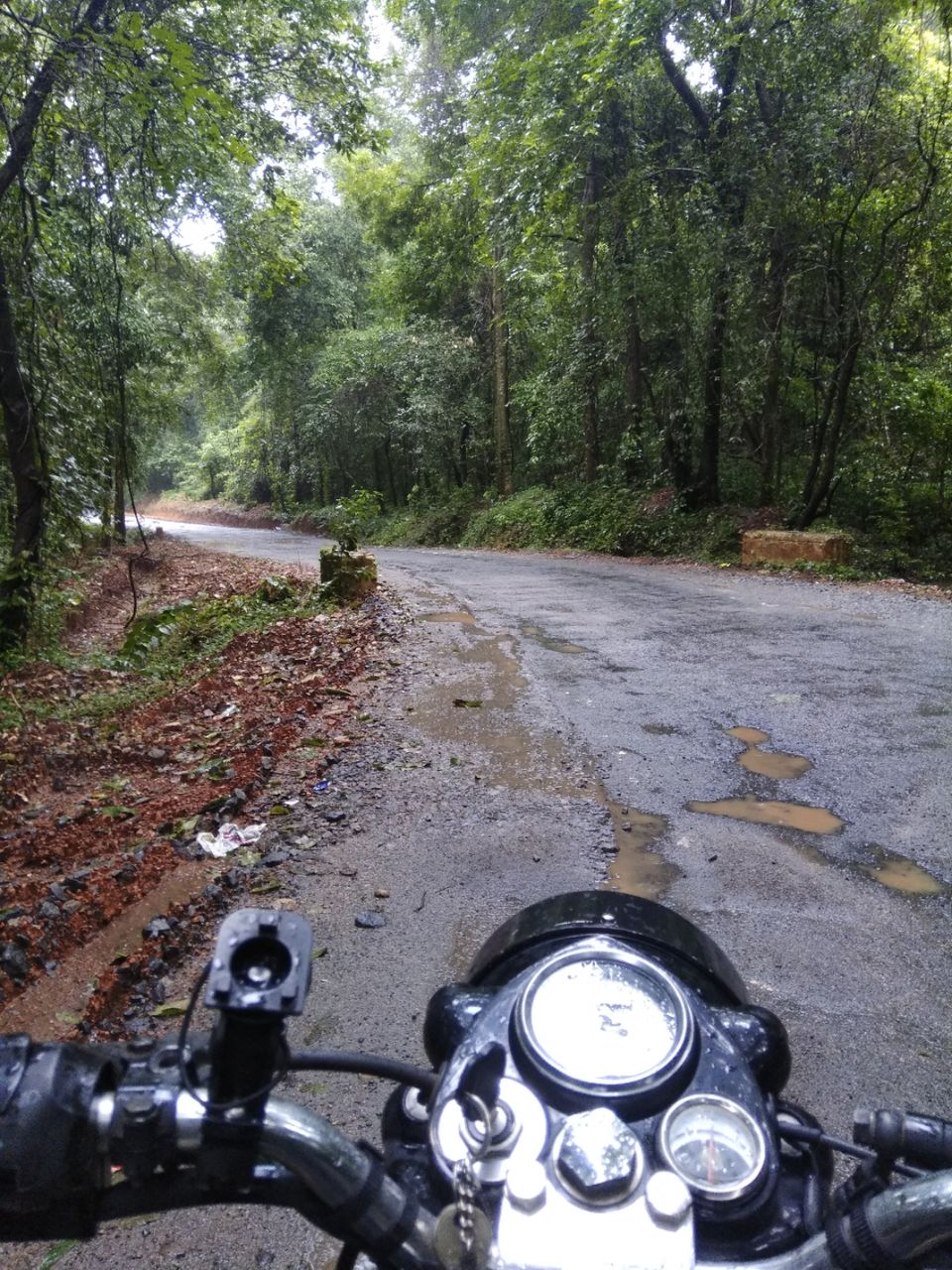 Photo of Dam those torpidos,full green ahead by Naveen Kumar