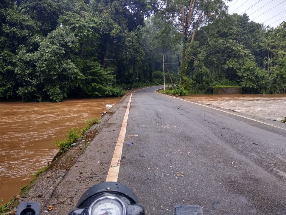 Photo of Dam those torpidos,full green ahead by Naveen Kumar