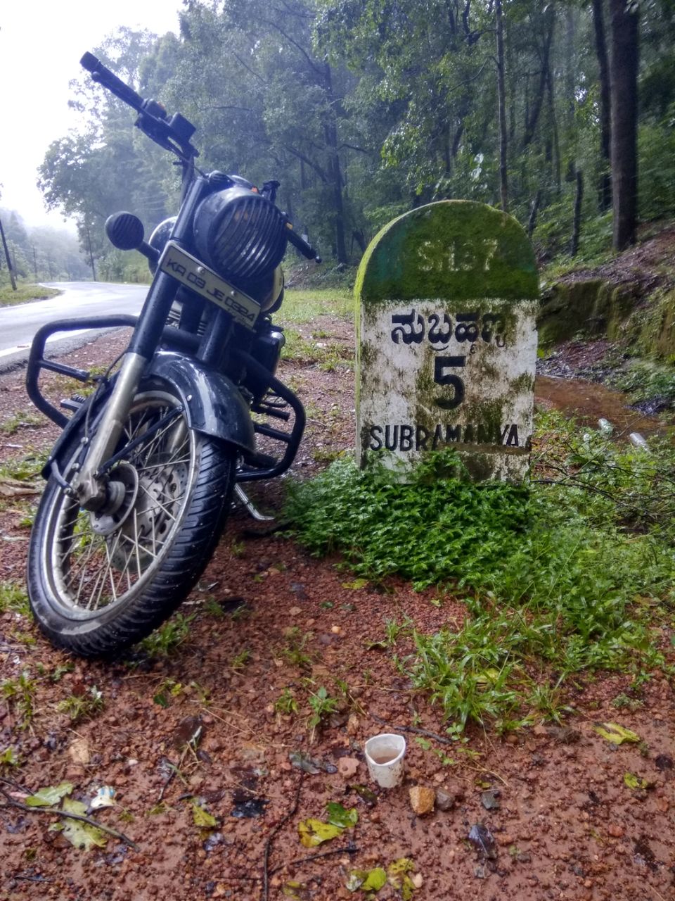 Photo of Dam those torpidos,full green ahead by Naveen Kumar