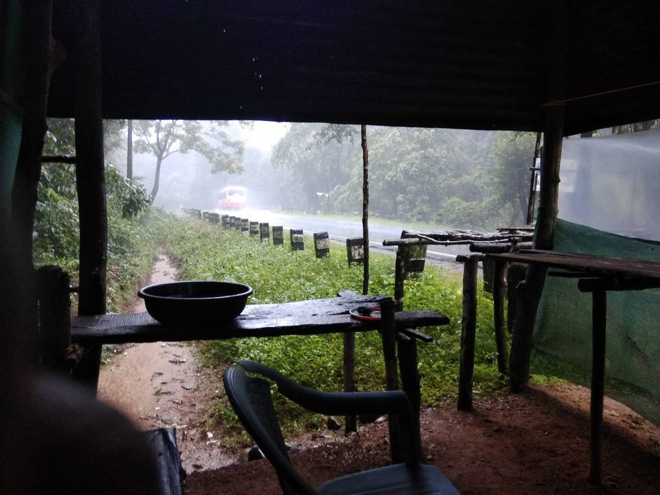 Photo of Dam those torpidos,full green ahead by Naveen Kumar