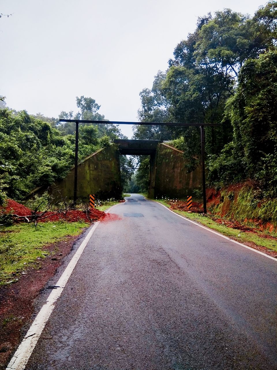 Photo of Dam those torpidos,full green ahead by Naveen Kumar