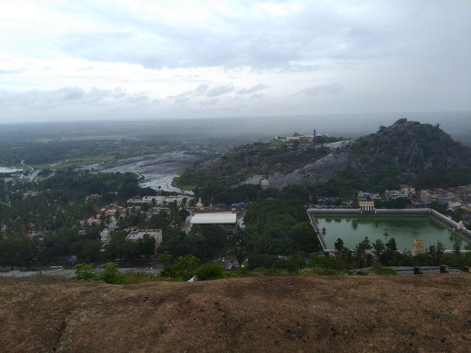 Photo of Dam those torpidos,full green ahead by Naveen Kumar
