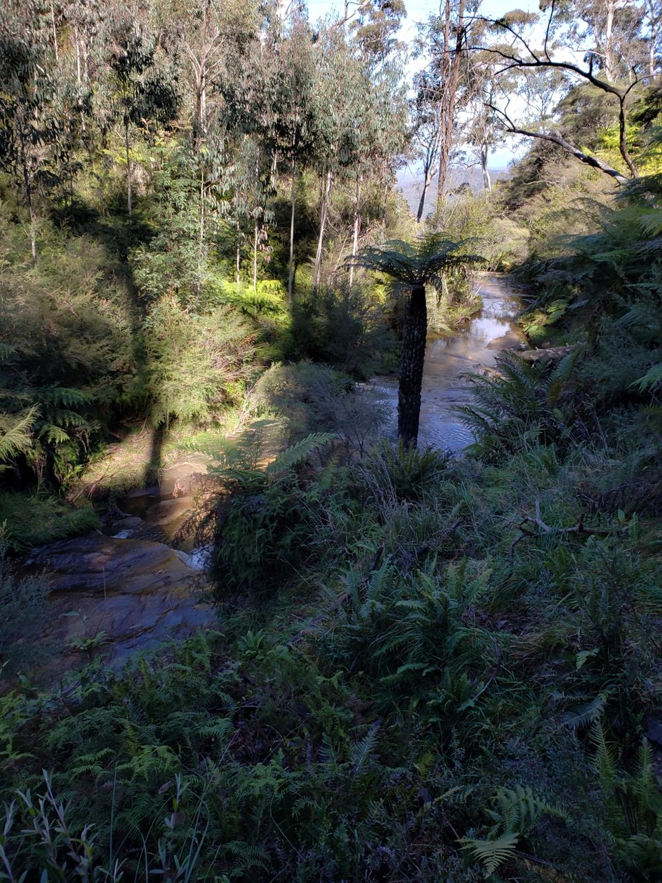 Photo of Wentworth Falls NSW, Australia by Naveen Kumar