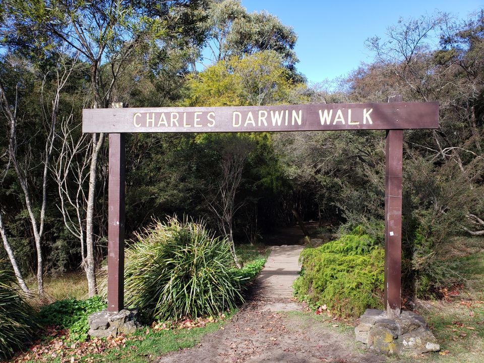 Photo of Wentworth Falls NSW, Australia by Naveen Kumar
