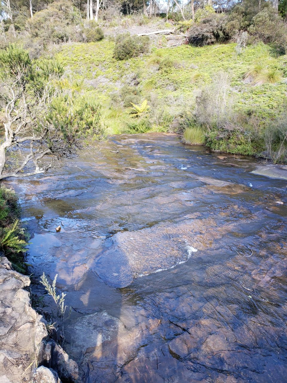 Photo of Wentworth Falls NSW, Australia by Naveen Kumar