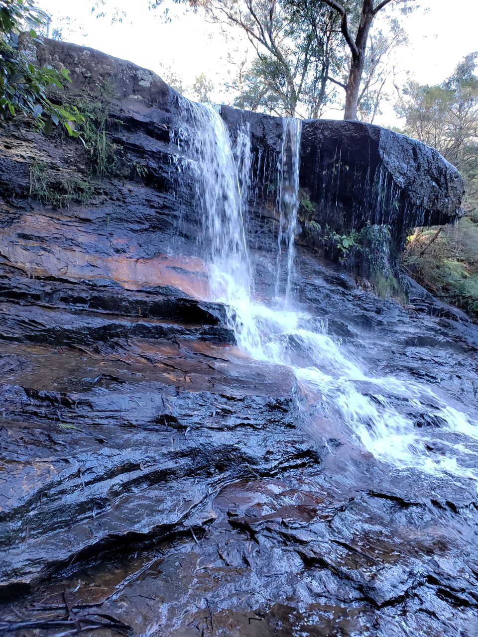 Photo of Wentworth Falls NSW, Australia by Naveen Kumar