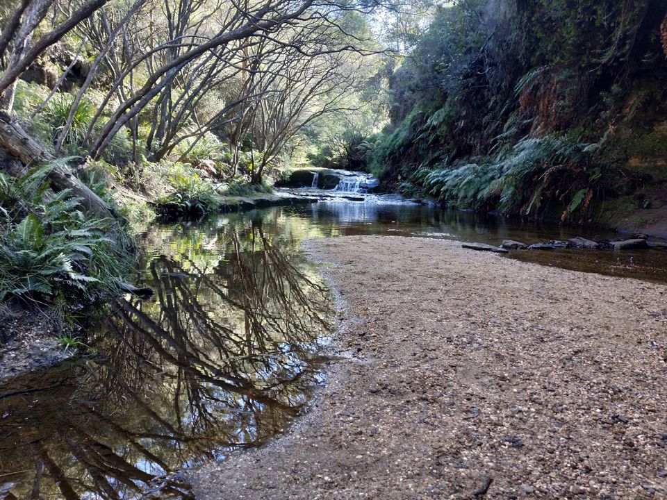Photo of Wentworth Falls NSW, Australia by Naveen Kumar