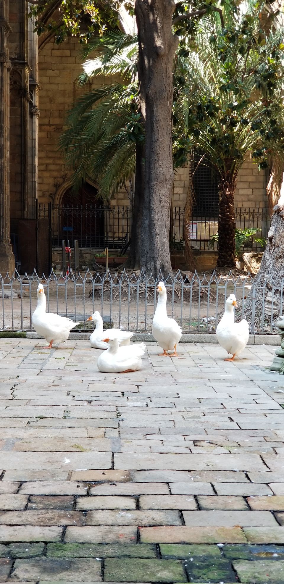 Photo of Beautiful Barcelona with pics galore #TravelMemories2019 by Moushumi Ghosh