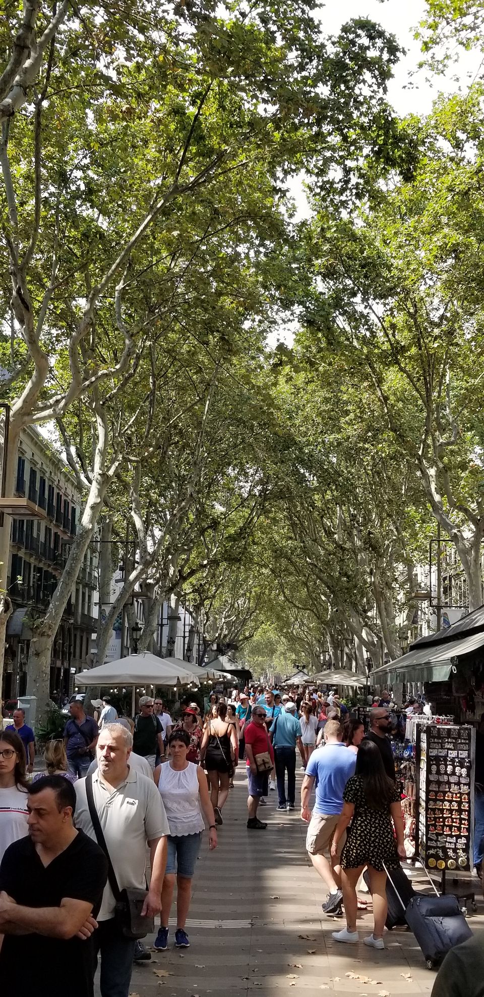 Photo of La Rambla, Barcelona, Spain by Moushumi Ghosh
