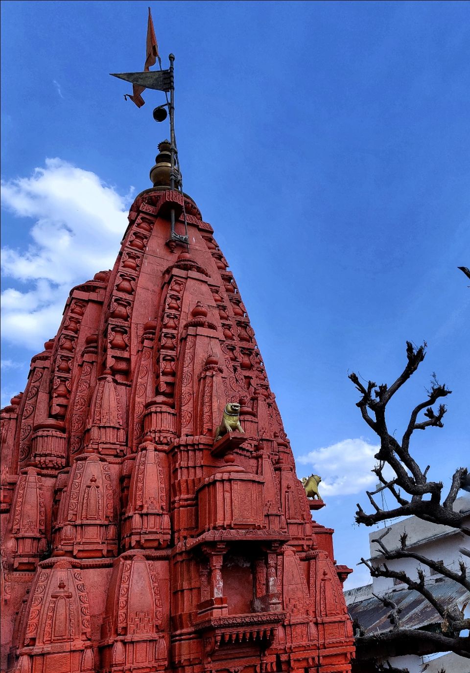 Photo of Pushkar by kibaaa