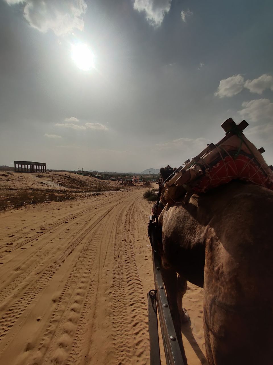 Photo of Pushkar by kibaaa
