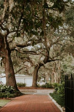 Photo of Best Places To Visit In Georgia - Travel Guide - ViraFlare 10/15 by ViraFlare
