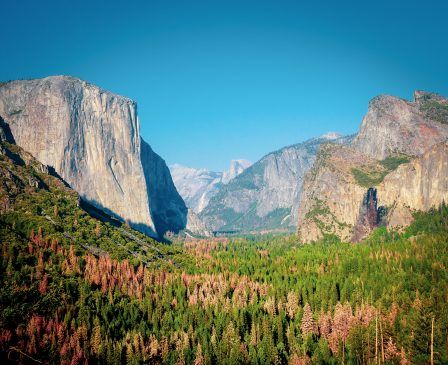 Photo of Best Hikes In Yosemite National Park [HIKING GUIDE] - ViraFlare 11/19 by ViraFlare