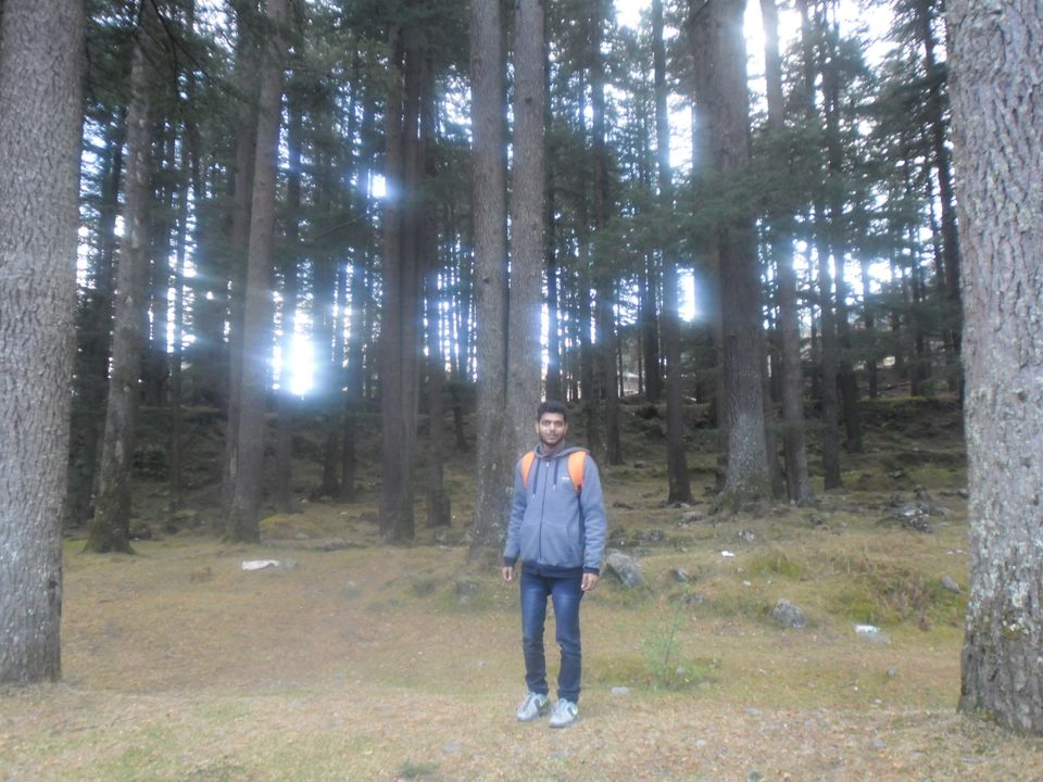 Photo of Old Manali, Manali, Himachal Pradesh, India by subham shaw