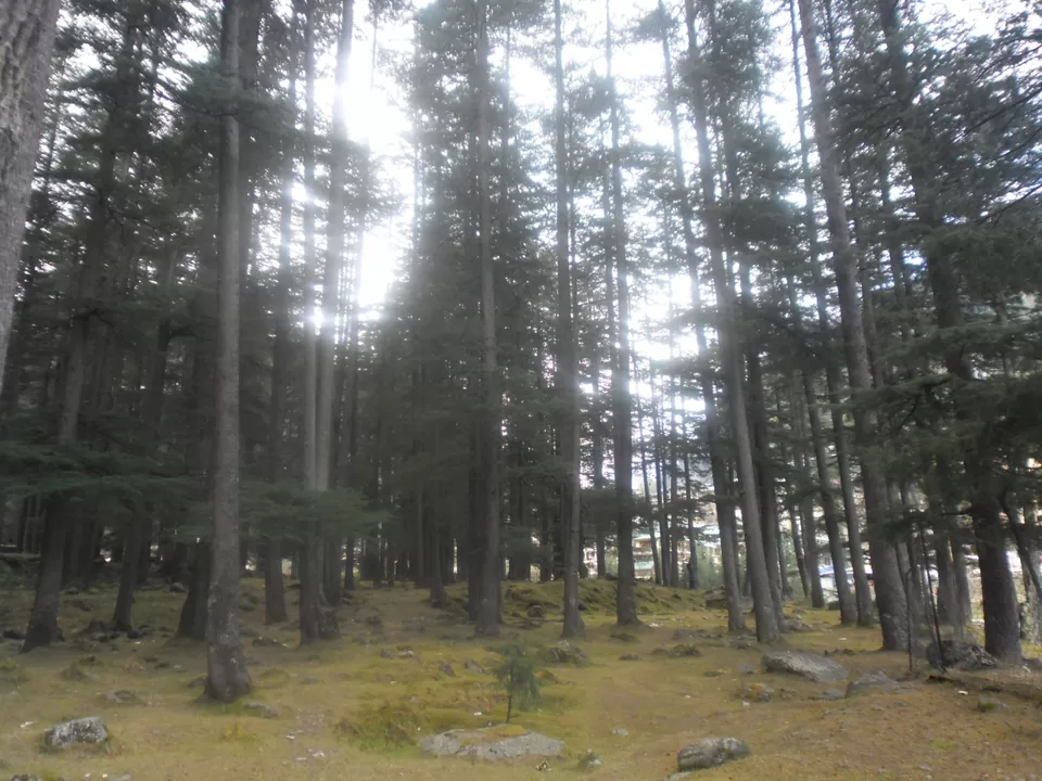 Photo of Old Manali, Manali, Himachal Pradesh, India by subham shaw