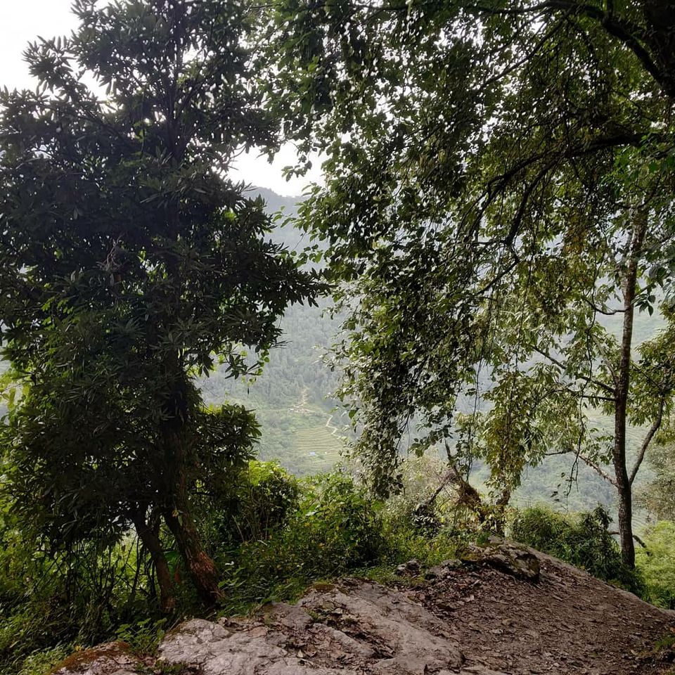 Photo of ANNAPURNA BASE CAMP TREK ( PICTURE BLOG ) by Kaustubh Pawar