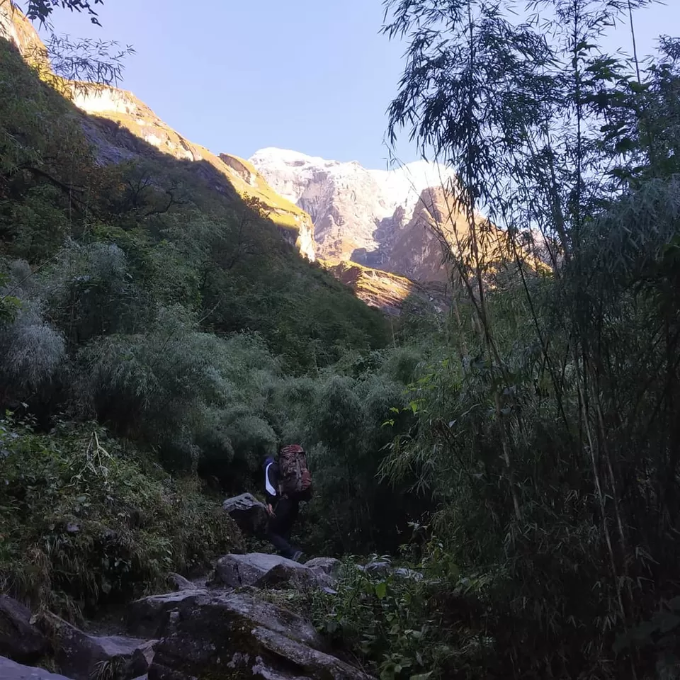 Photo of ANNAPURNA BASE CAMP TREK ( PICTURE BLOG ) by Kaustubh Pawar