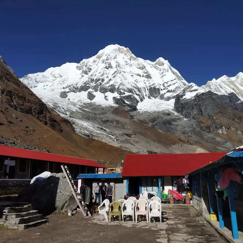 Photo of ANNAPURNA BASE CAMP TREK ( PICTURE BLOG ) by Kaustubh Pawar