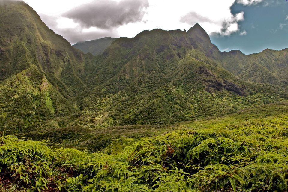 Photo of Hawaii - Maui - Paradise Island (7 Day Trip) 7/25 by Chhavi Sinha