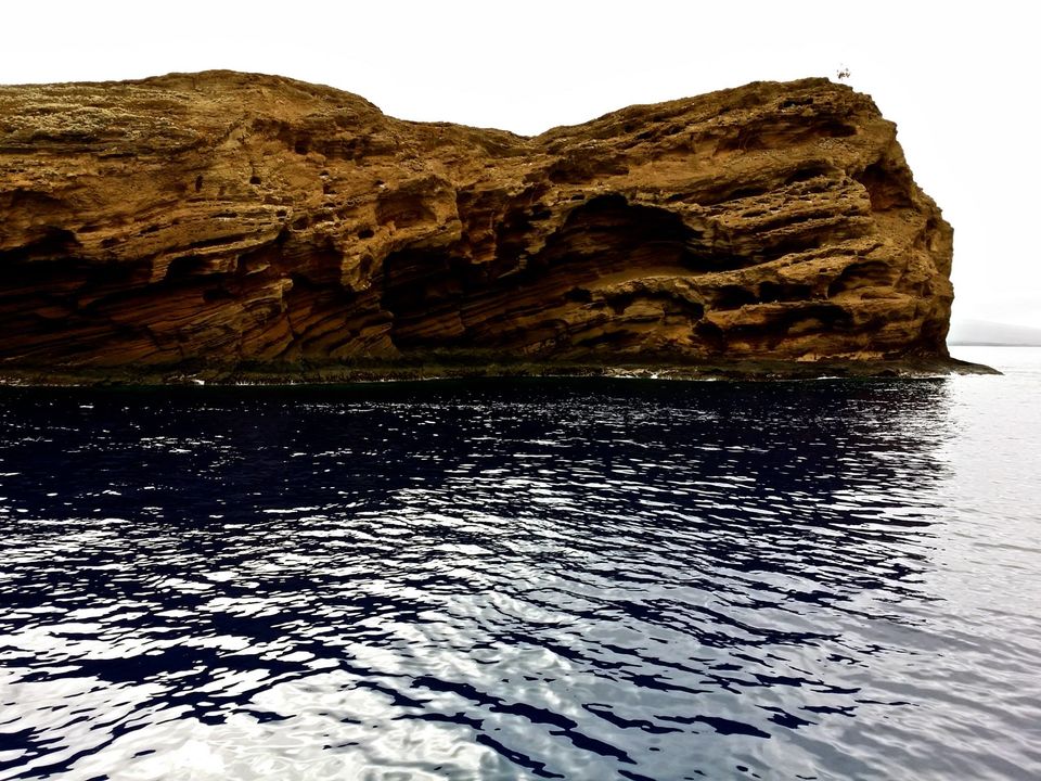 Photo of Hawaii - Maui - Paradise Island (7 Day Trip) 13/25 by Chhavi Sinha