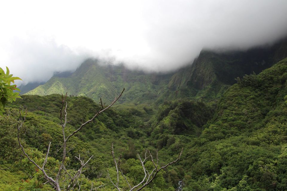 Photo of Hawaii - Maui - Paradise Island (7 Day Trip) 8/25 by Chhavi Sinha