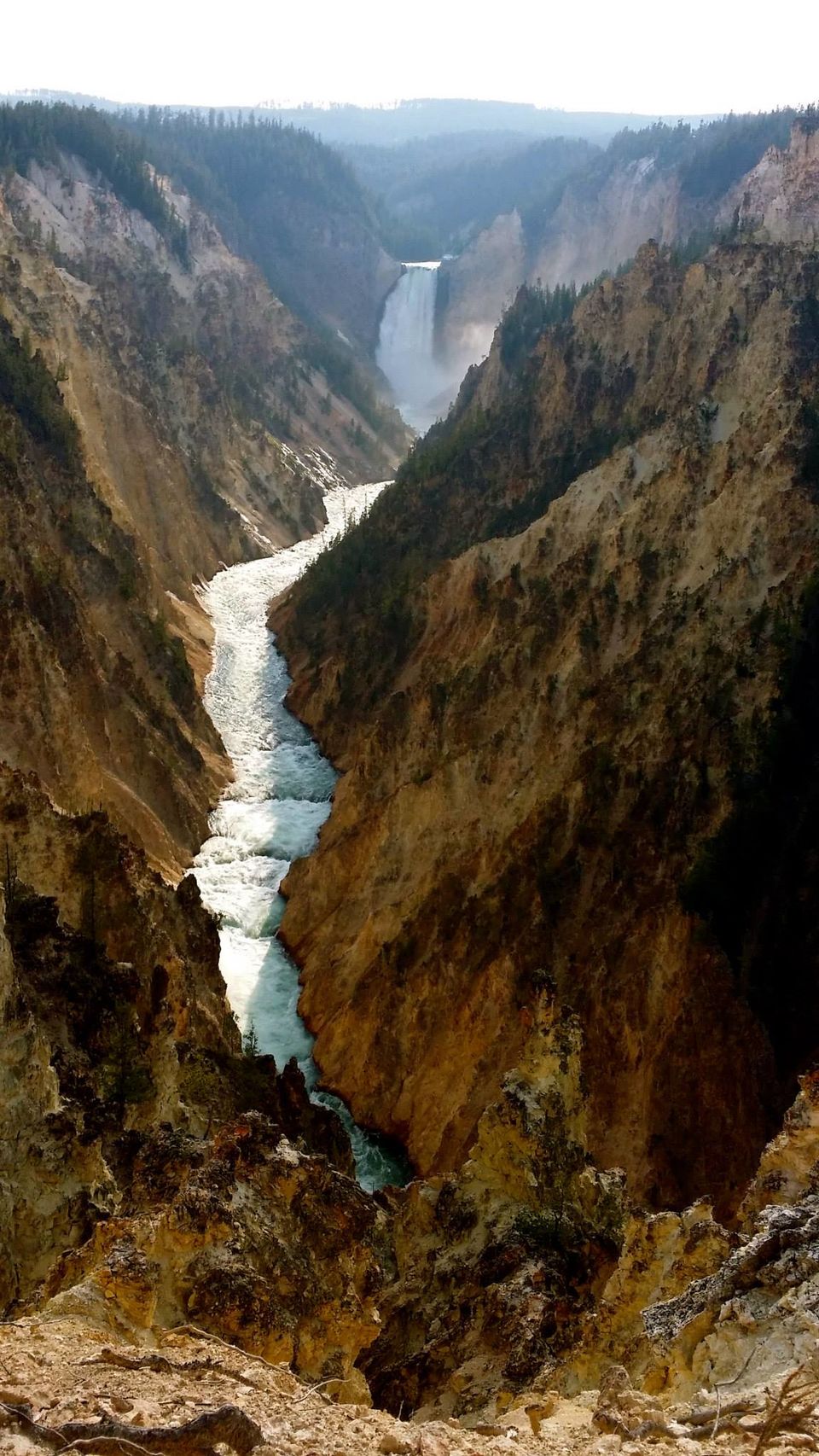 Photo of Yellowstone National Park (4 days) 5/6 by Chhavi Sinha