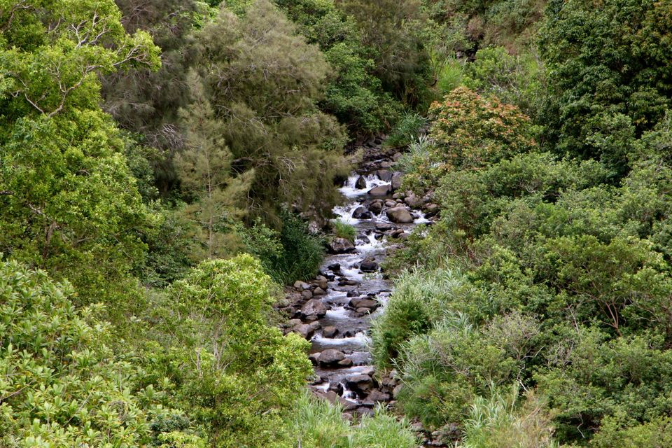 Photo of Hawaii - Maui - Paradise Island (7 Day Trip) 10/25 by Chhavi Sinha