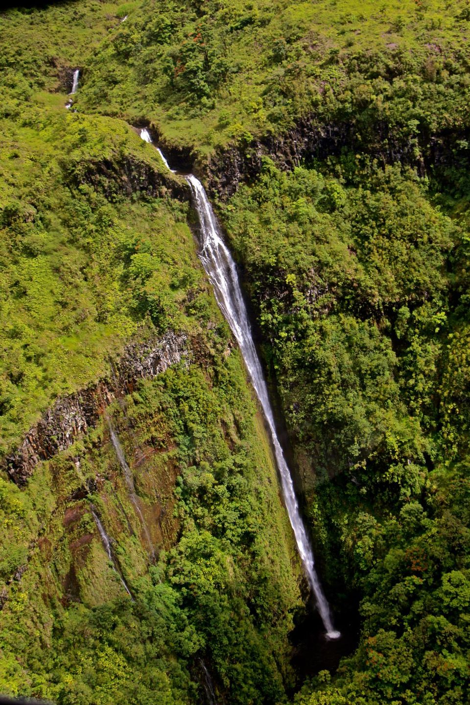Photo of Hawaii - Maui - Paradise Island (7 Day Trip) 4/25 by Chhavi Sinha