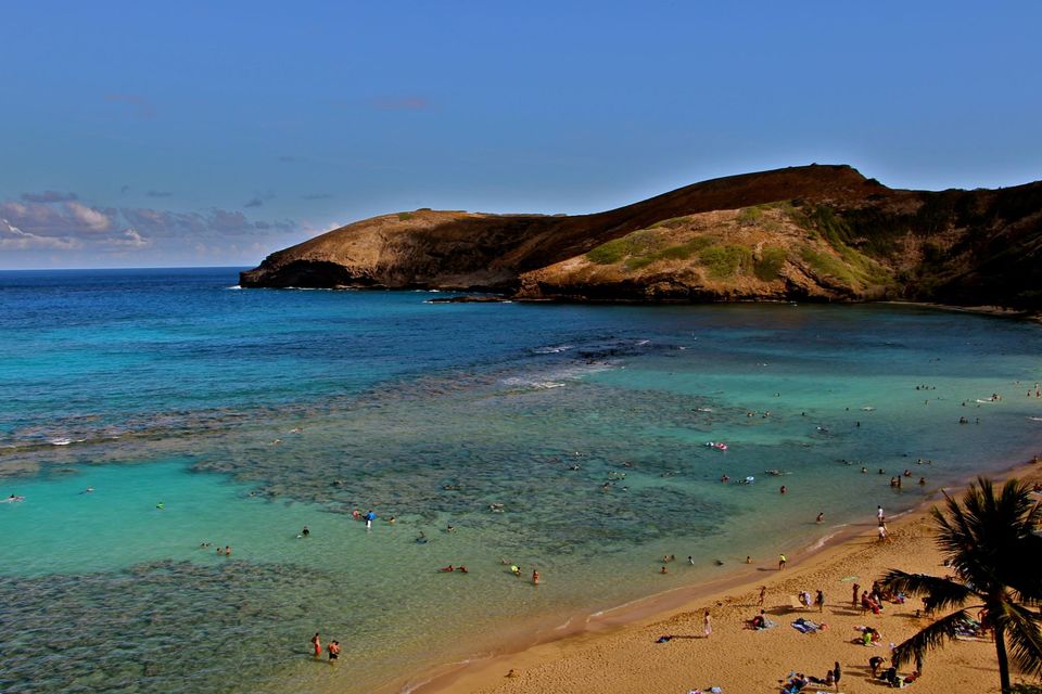 Photo of Hawaii - Maui - Paradise Island (7 Day Trip) 15/25 by Chhavi Sinha