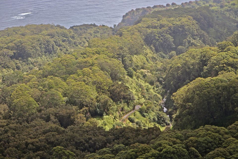 Photo of Hawaii - Maui - Paradise Island (7 Day Trip) 5/25 by Chhavi Sinha