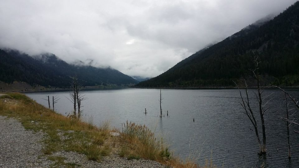 Photo of Yellowstone National Park (4 days) 6/6 by Chhavi Sinha