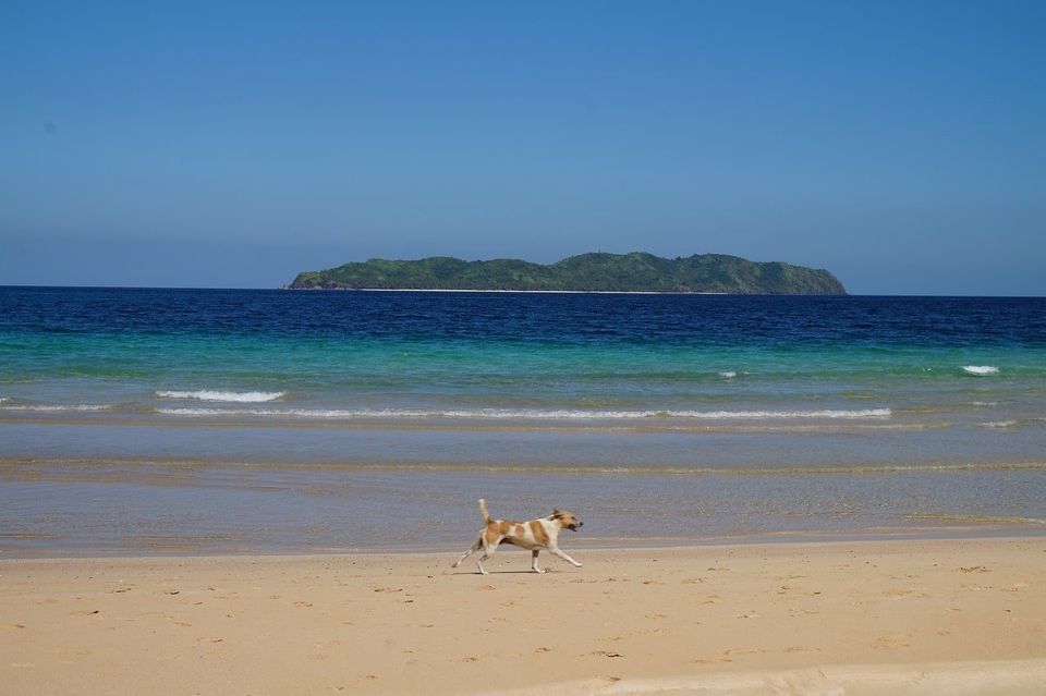 Photo of Palawan, Philippinen by Julian Schoenfelder