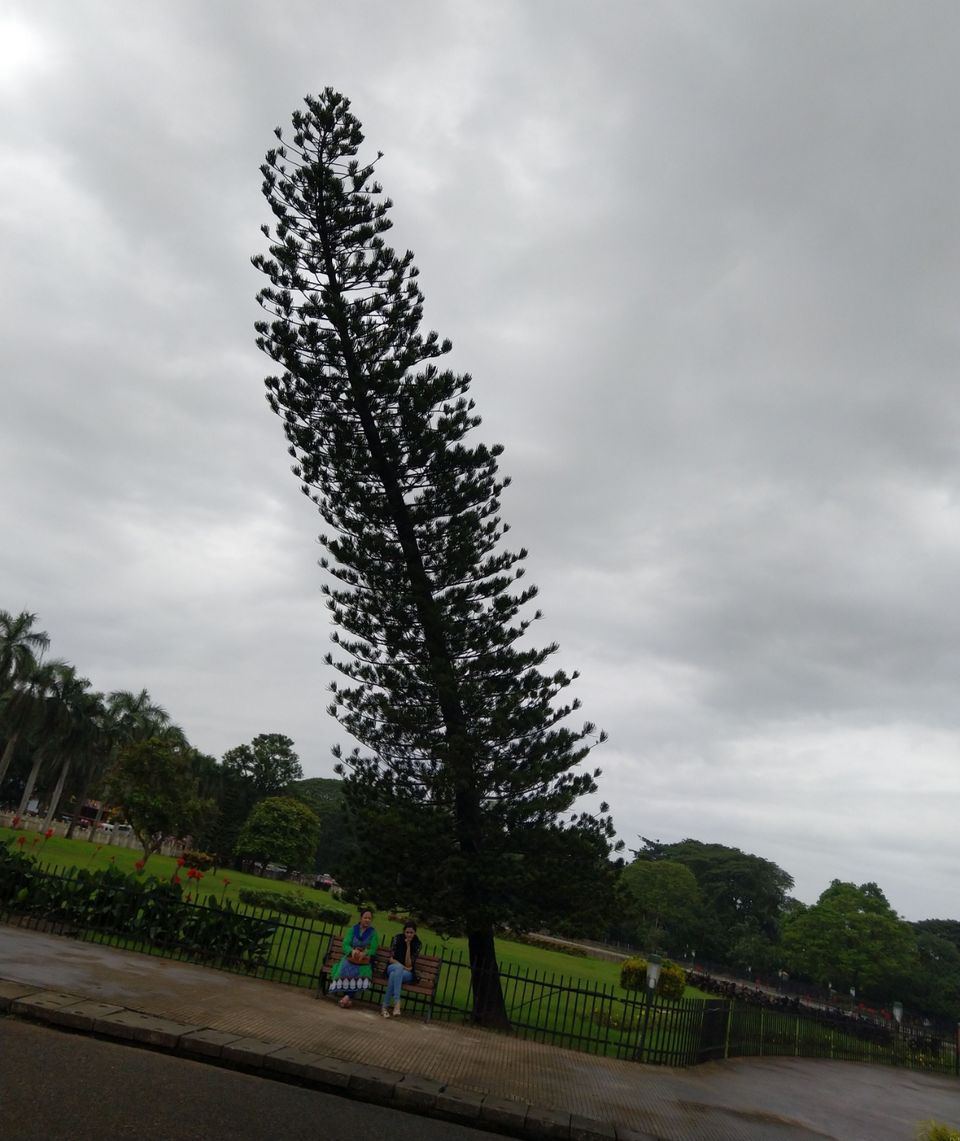 Photo of Goa, India by Niwedita