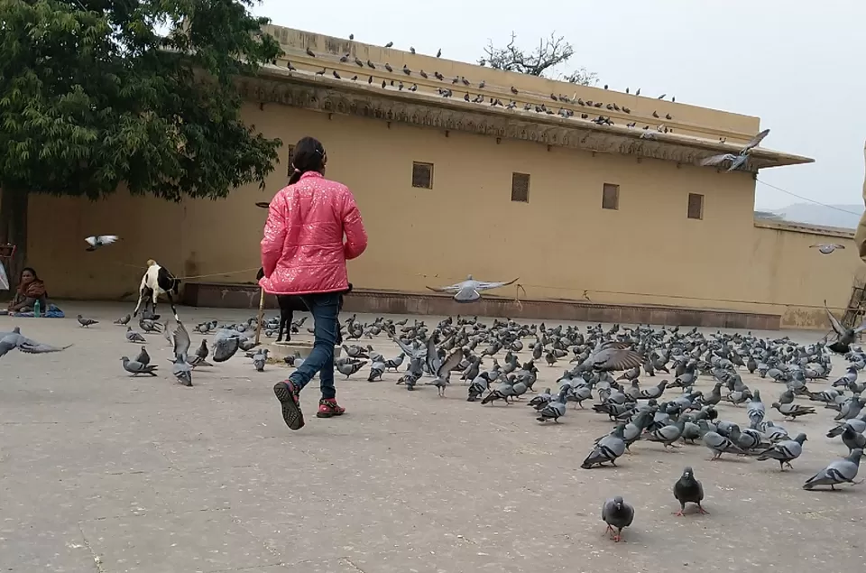 Photo of Amer Fort, Amer Road, Char Darwaja, Amer, Jaipur, Rajasthan, India by Niwedita