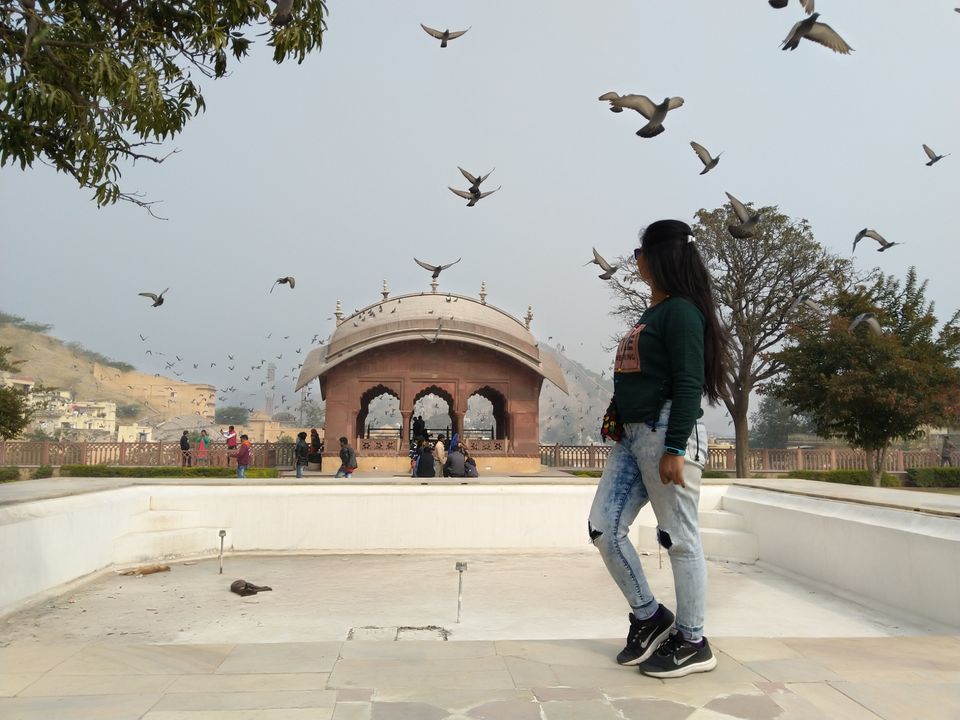 Photo of Amer Fort, Amer Road, Char Darwaja, Amer, Jaipur, Rajasthan, India by Niwedita