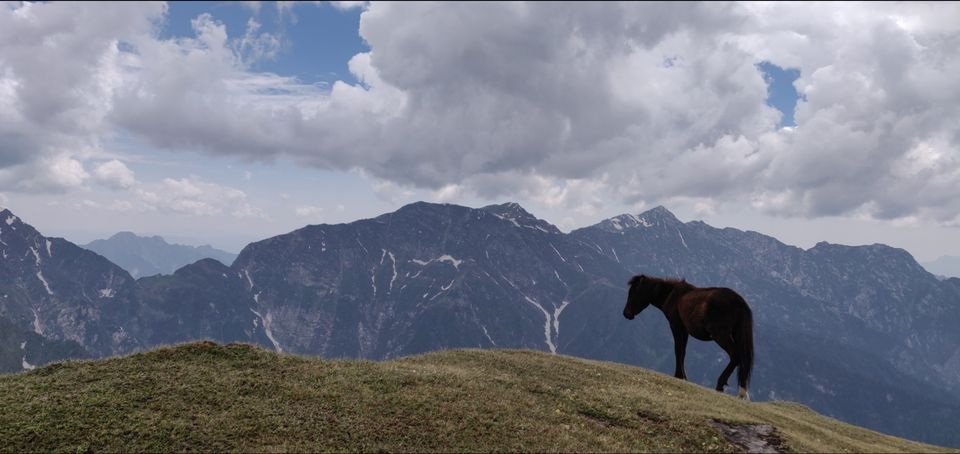Photo of Nagaru Camp - YHAI, Sosan, Himachal Pradesh, India by Rhishabh Naredi