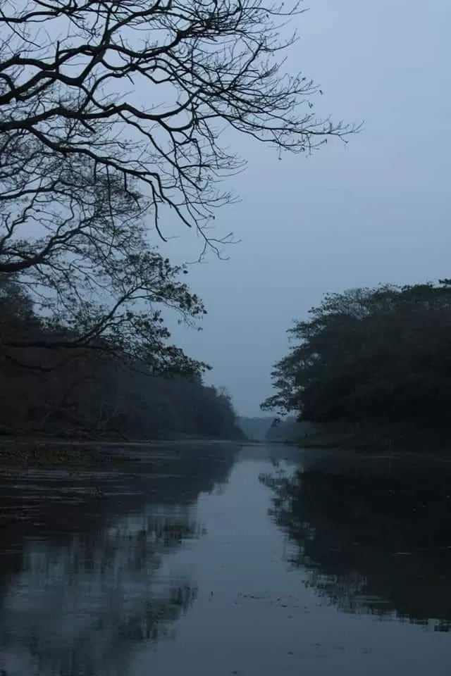 Photo of The Haunted Camp by Muskaan