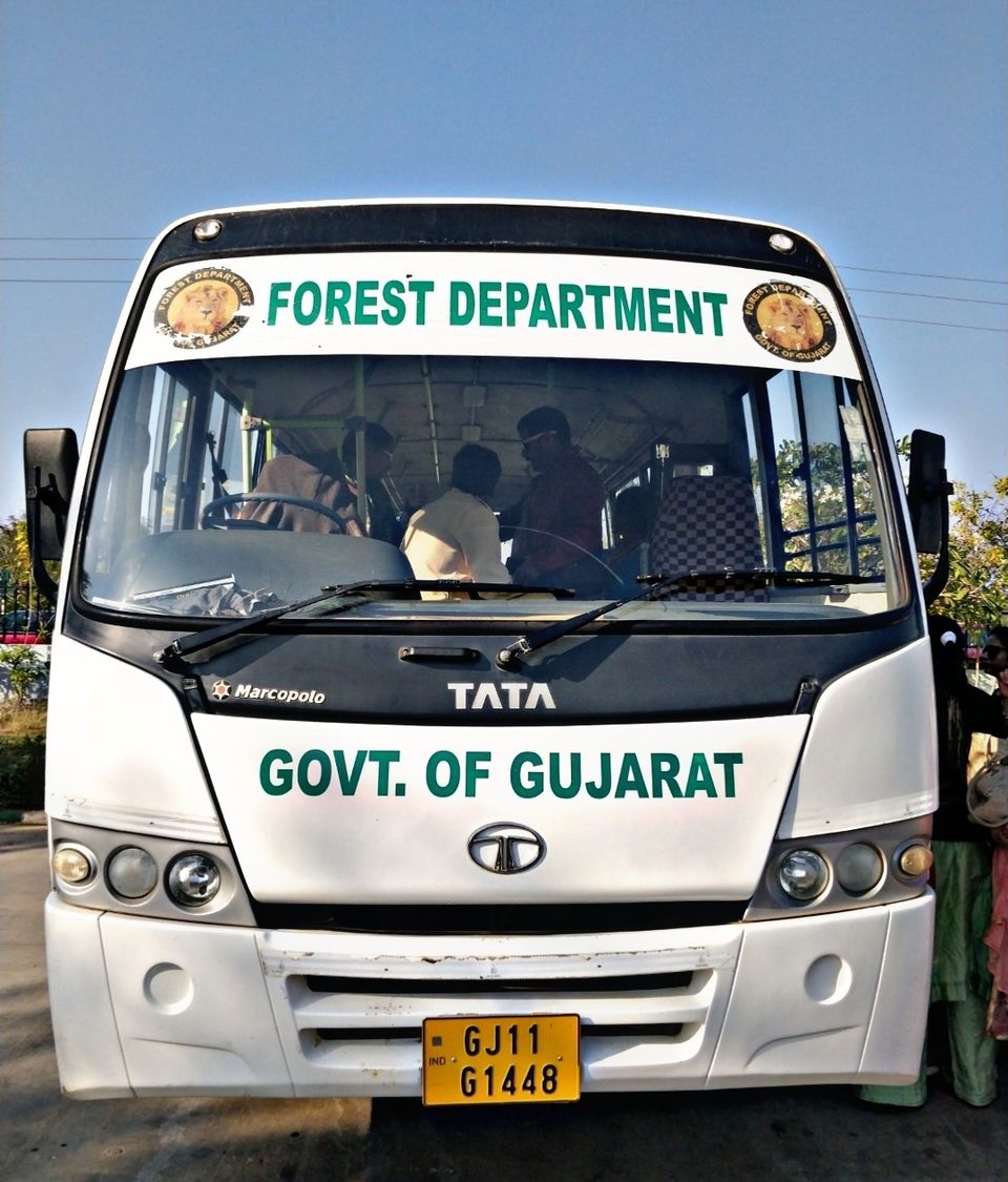 Photo of Somnath and Gir National Park by Priya Tayal