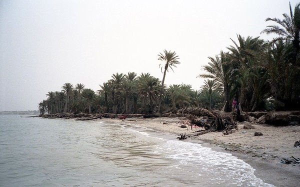 Photo of Al Khawkhah, Al Hudaydah, Yemen by Fatema Diwan