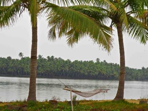 Photo of Lost In The Backwaters: Thekkekadu, Kerala 7/7 by Fatema Diwan