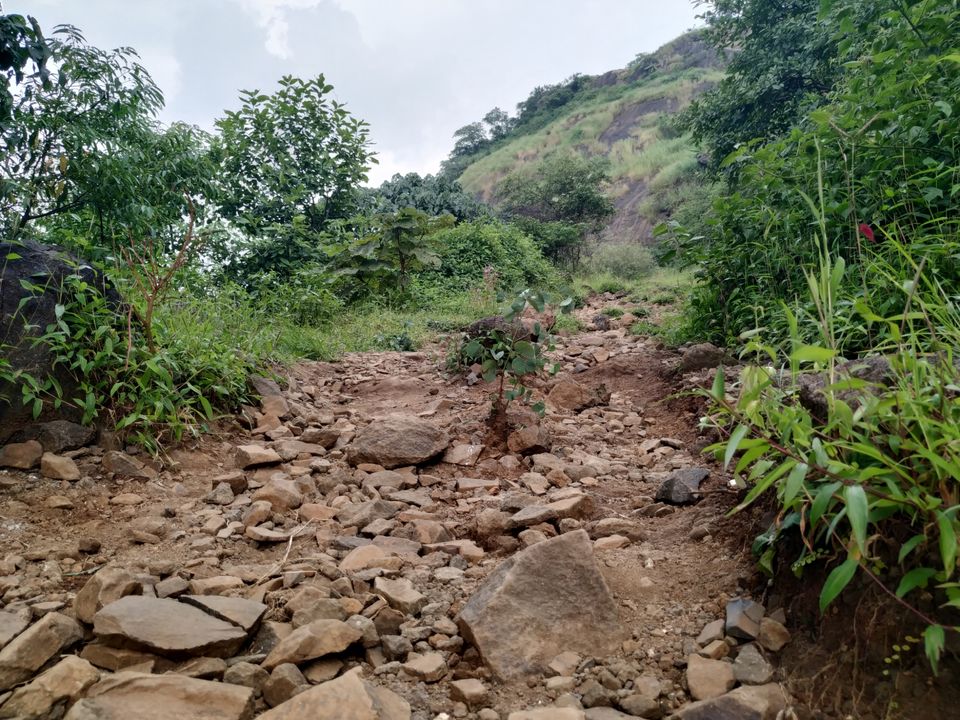 Photo of Kalavantin Durg, Panvel, Maharashtra, India by ROHIT NARAYANAN