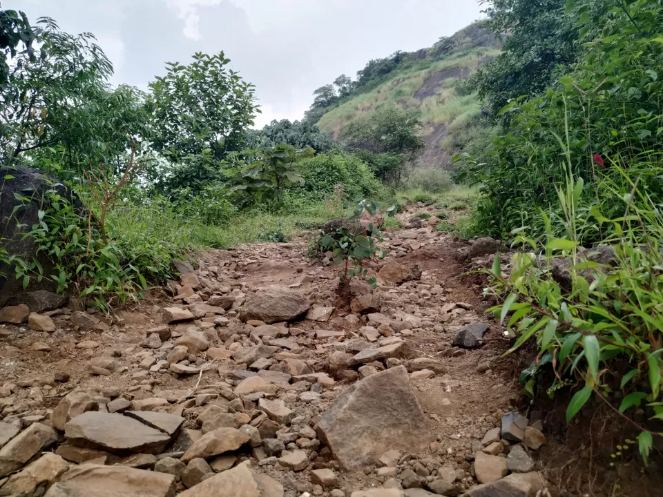 Photo of Kalavantin Durg, Panvel, Maharashtra, India by ROHIT NARAYANAN