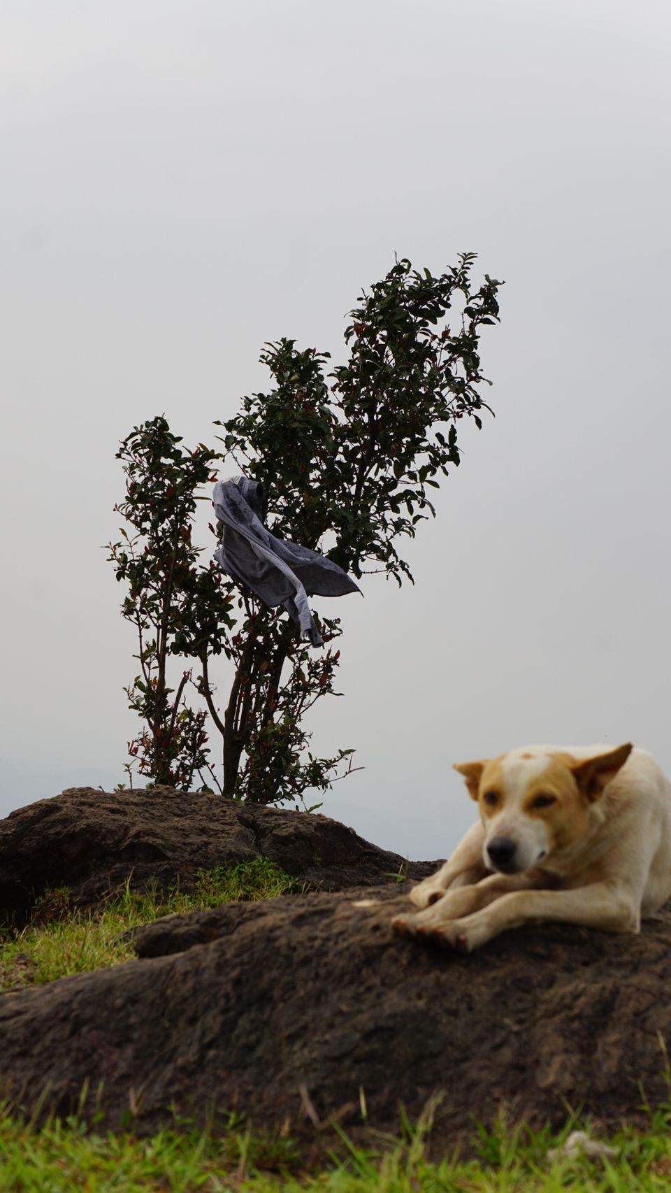 Photo of Kalavantin Durg, Panvel, Maharashtra, India by ROHIT NARAYANAN