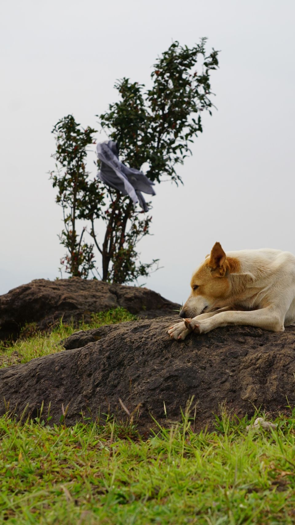 Photo of Kalavantin Durg, Panvel, Maharashtra, India by ROHIT NARAYANAN