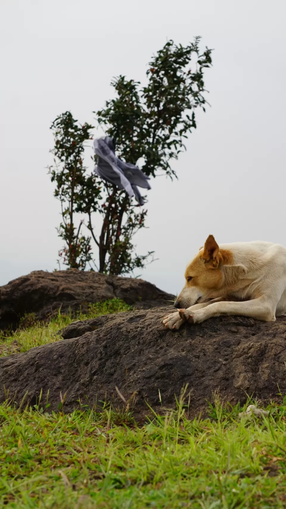 Photo of Kalavantin Durg, Panvel, Maharashtra, India by ROHIT NARAYANAN