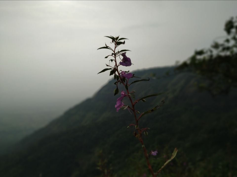 Photo of Kalavantin Durg, Panvel, Maharashtra, India by ROHIT NARAYANAN