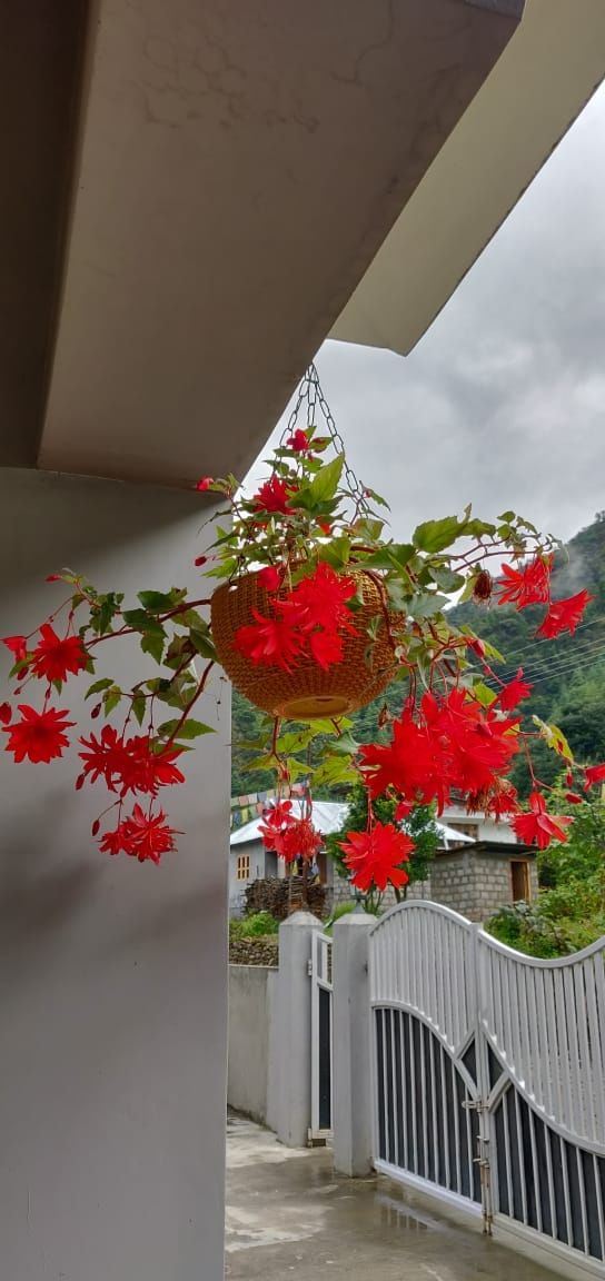 Photo of Dirang by Souvik Podder
